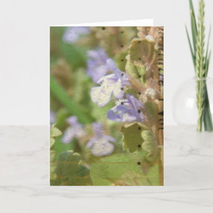 Henbit Card