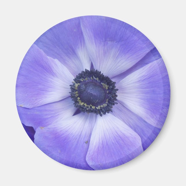 Henrietta Magnet (Front)