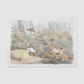 Henry Alken | Dogs Chasing Pheasants Tissue Paper