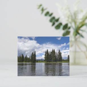 Henrys Fork in Targhee National Forest I Postcard