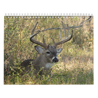 Henry's Wildlife 2008 - Customized Calendar