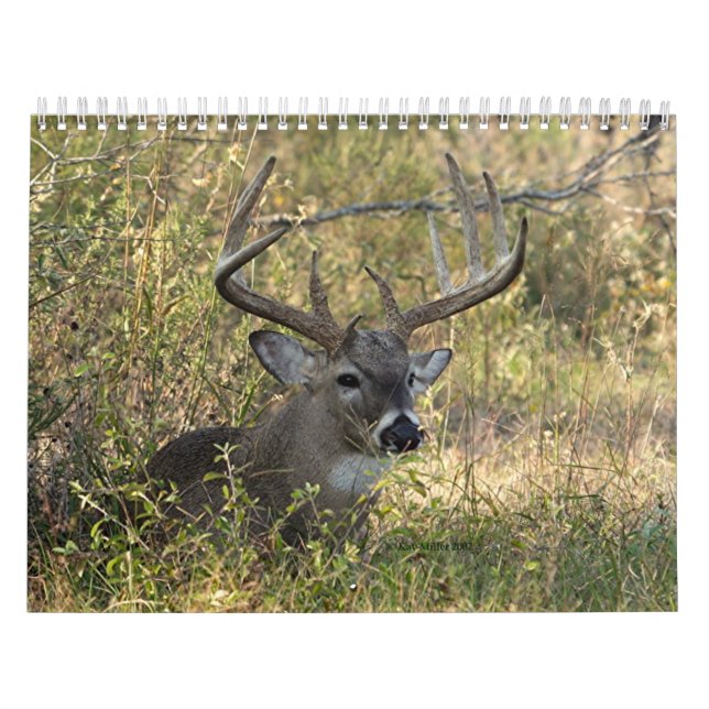 Henry's Wildlife 2008 - Customized Calendar (Cover)