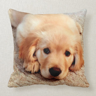 Henry's World Today Golden Retriever Pillow