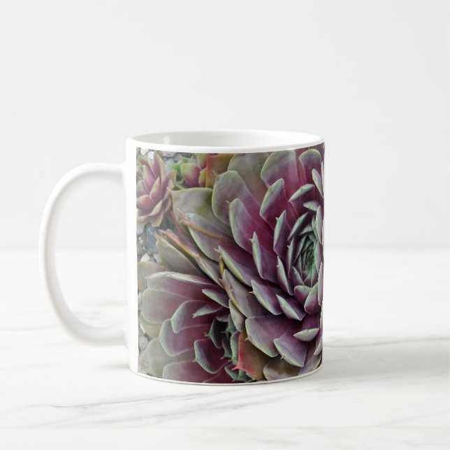 Hens and chicks cactus plant coffee mug (Left)