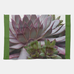 Hens and Chicks Kitchen Towel