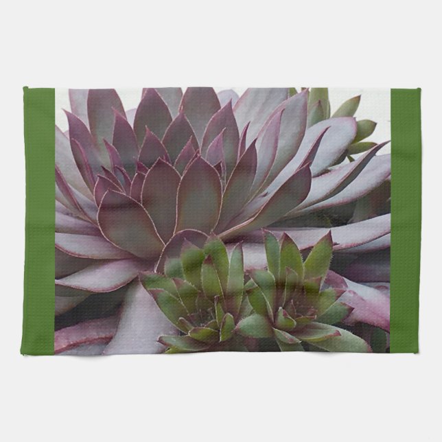 Hens and Chicks Kitchen Towel (Horizontal)