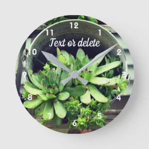 Hens And Chicks Succulents In Bucket Personalized Round Clock