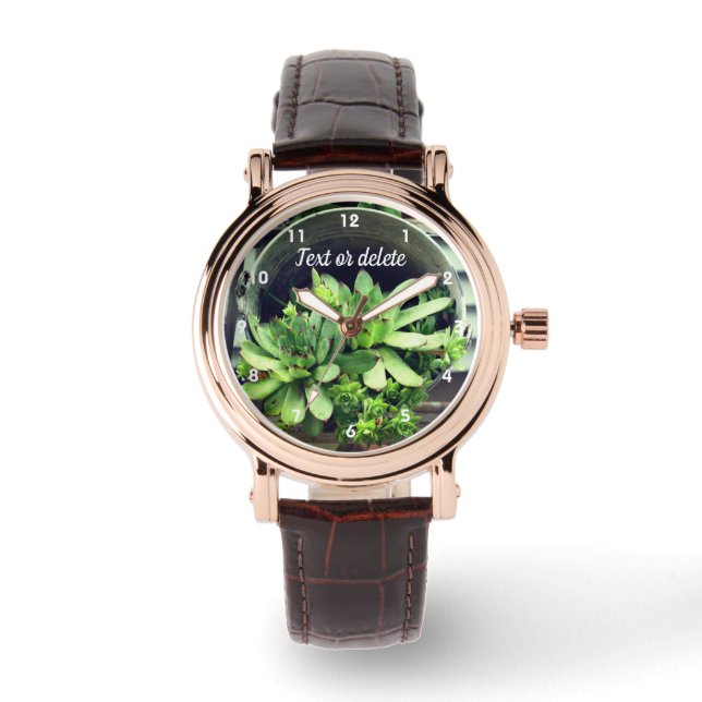 Hens And Chicks Succulents In Bucket Personalized  Watch (Front)