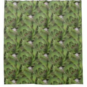 Hens And Chicks Succulents Nature Pattern
