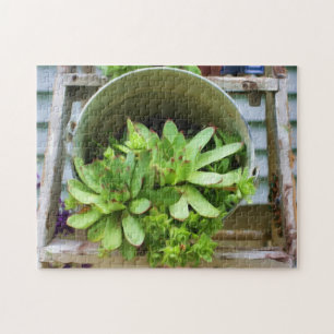 Hens And Chicks Succulents Photo Oil Painting Jigsaw Puzzle