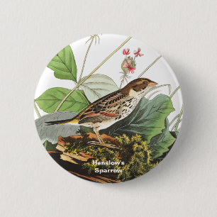 Henslow's Sparrow, Birdwatcher, Audubon Art, Bird 2 Inch Round Button