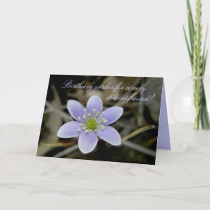 Hepatica Special Friend Birthday Card