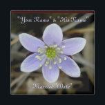 Hepatica Wedding Rememberance Magnet<br><div class="desc">A remembrance magnet for little gifts.</div>