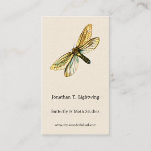 Hepialus humuli female - Ghost Moth or Ghost Swift Business Card