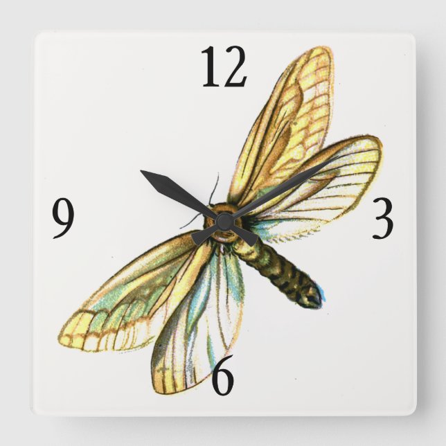 Hepialus humuli female - Ghost Moth or Ghost Swift Square Wall Clock (Front)