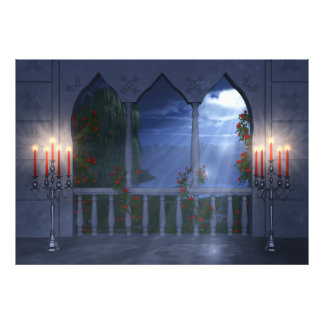 Her Silver Mantle Photo Print