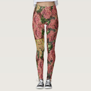 Héracée Plante Legging
