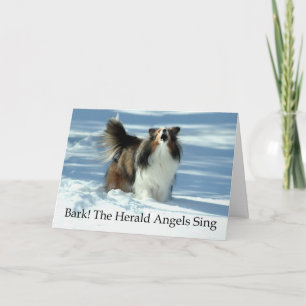 Herald Sheltie Holiday Card