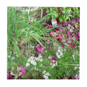 Herb collection chives photograph art tile