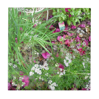 Herb collection chives photograph art tile