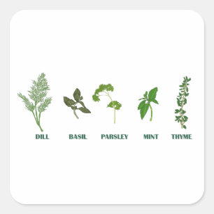 Herb Collection Square Sticker