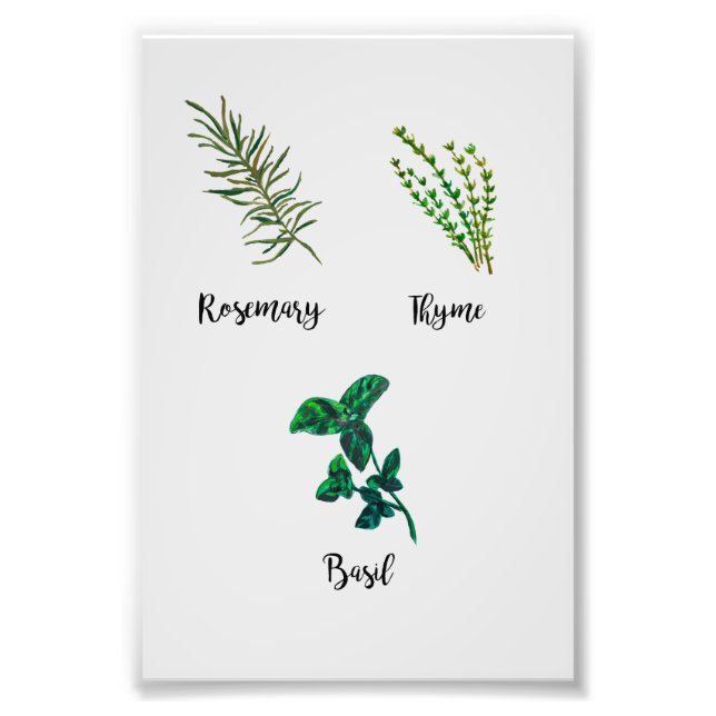 Herb Garden Painting Photo Print (Front)