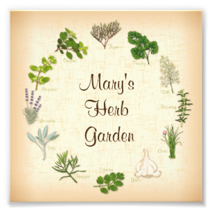 Herb Garden Photo Print