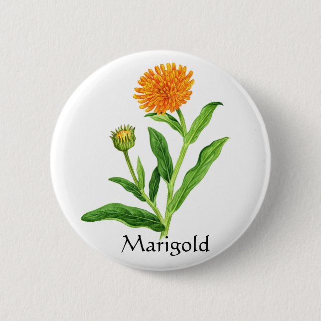 Herb Garden Series - Marigold 2 Inch Round Button (Front)