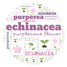 HERB WORD LABEL - HERBS/VEGETABLE - PURPLECONE