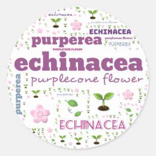 HERB WORD LABEL - HERBS/VEGETABLE  - PURPLECONE