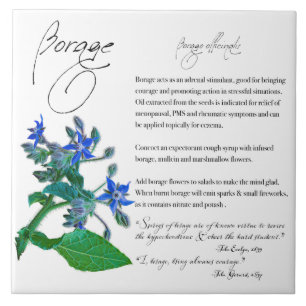 Herbal Apothecary: Borage Ceramic Tile
