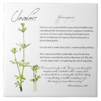 Herbal Apothecary: Cleavers | Ceramic Tile