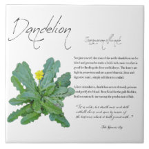 Herbal Apothecary: Dandelion | Ceramic Tile