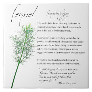 Herbal Apothecary: Fennel | Ceramic Tile