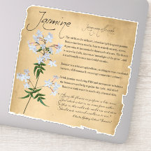 Herbal Apothecary: Jasmine | Botanical Sticker