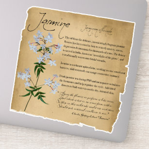 Herbal Apothecary: Jasmine   Botanical Sticker