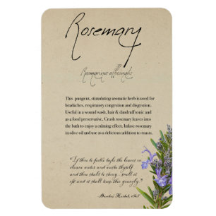 Herbal Apothecary: Rosemary Magnet