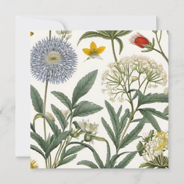 Herbal Harmony (Front)