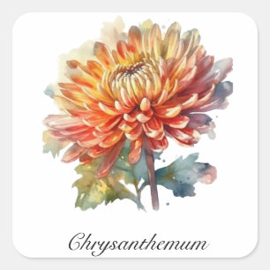 Herbal Life: Chrysanthemum customizable  Square Sticker