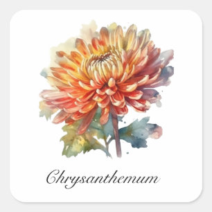 Herbal Life: Chrysanthemum customizable Square Sticker