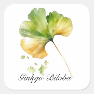 Herbal Life: Ginkgo Biloba leaf customizable Square Sticker