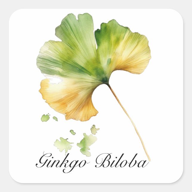Herbal Life: Ginkgo Biloba leaf customizable Square Sticker (Front)
