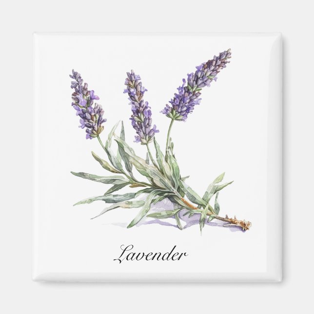 Herbal Life: Lavender, customizable  Magnet (Front)