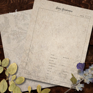 Herbarium Plant Specimen Sheet Old Paper