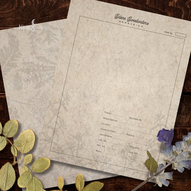 Herbarium Plant Specimen Sheet Old Paper (Creator Uploaded)