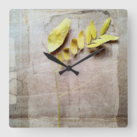 Herbarium V
