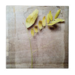 Herbarium V Tile<br><div class="desc">Floral</div>