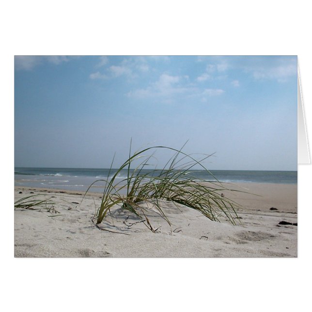 Herbe de plage (Devant horizontal)