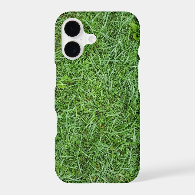 Herbe verte (Verso)