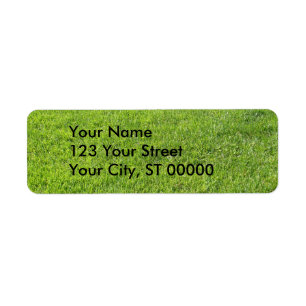 Herbe verte